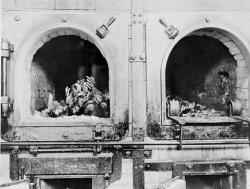 fours-buchenwald.jpeg